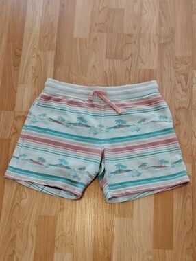Men's chubbies Multi Color Lounge Shorts with Cream Waistband